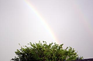 Rainbow - 2005/06/11